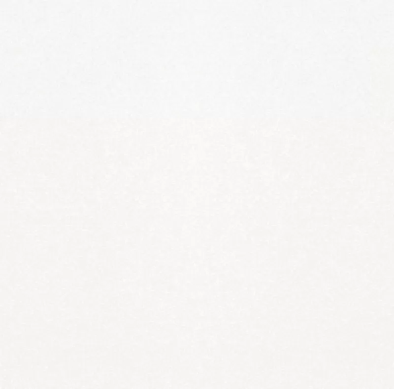 Керамогранит Monocolor sugar white PG 01 45x45