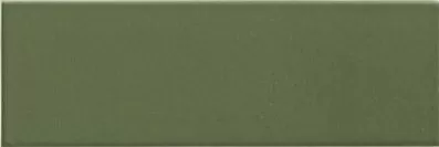 Плитка Jungle Olive 10х30
