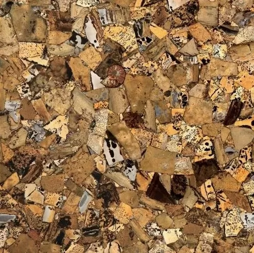 Керамогранит MC-SP11	Grass Fossil 670 00 (Compound With Granit) 100x100