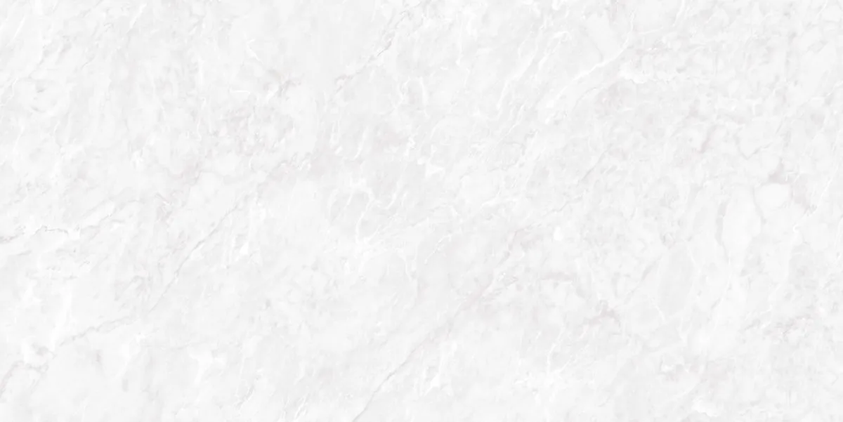 Керамогранит N20481 Carrara Pearl Polished 60x120