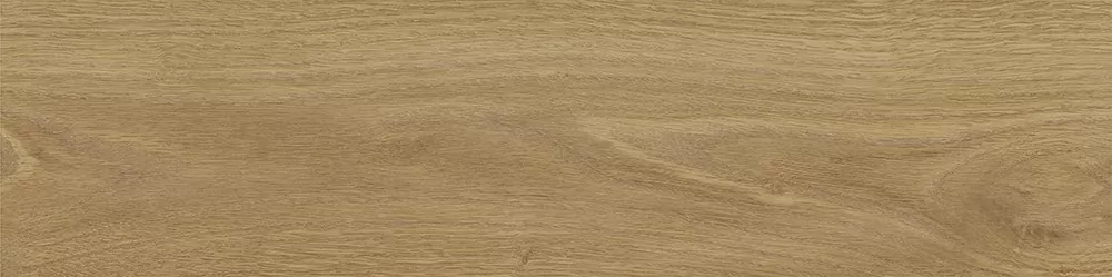 Керамогранит Tregui Natural 8х33
