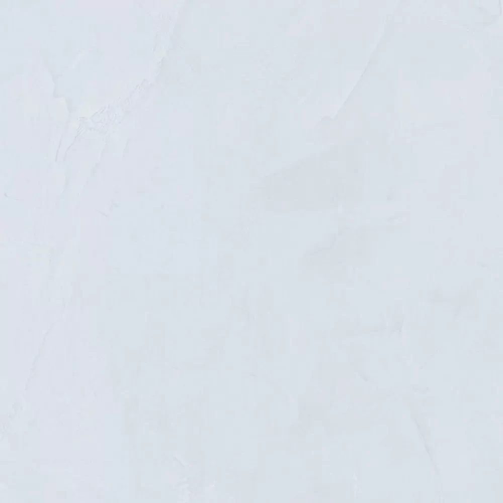 Керамогранит E-5008/M Ultra Светло-Серый Матовый 60x60