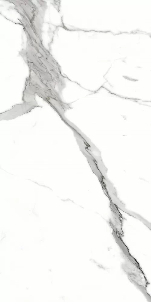 Керамогранит PR207 Salvatore Polished 600x1200