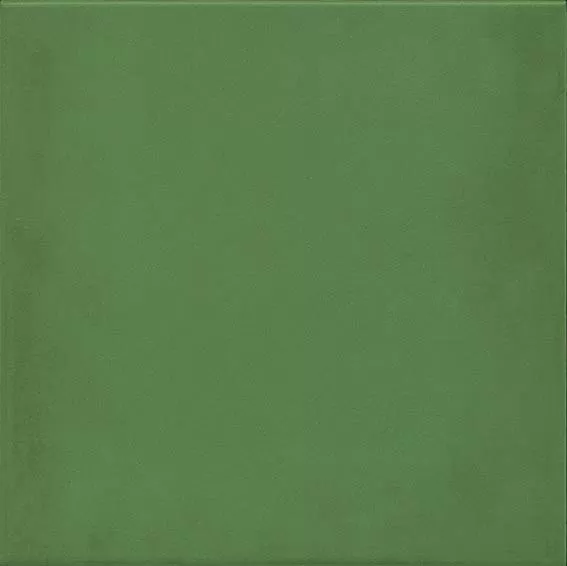 Керамогранит 1900 Verde g.136 20x20