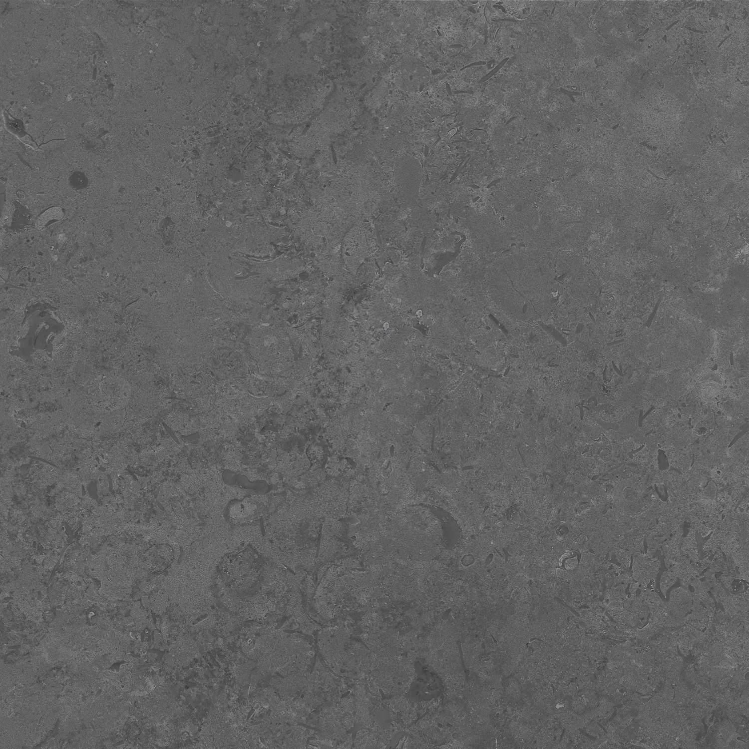 Керамогранит DD640820R Про Лаймстоун серый темный натуральный обрезной 60х60