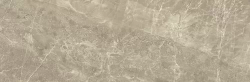 Плитка Sanford Taupe 33,3x100