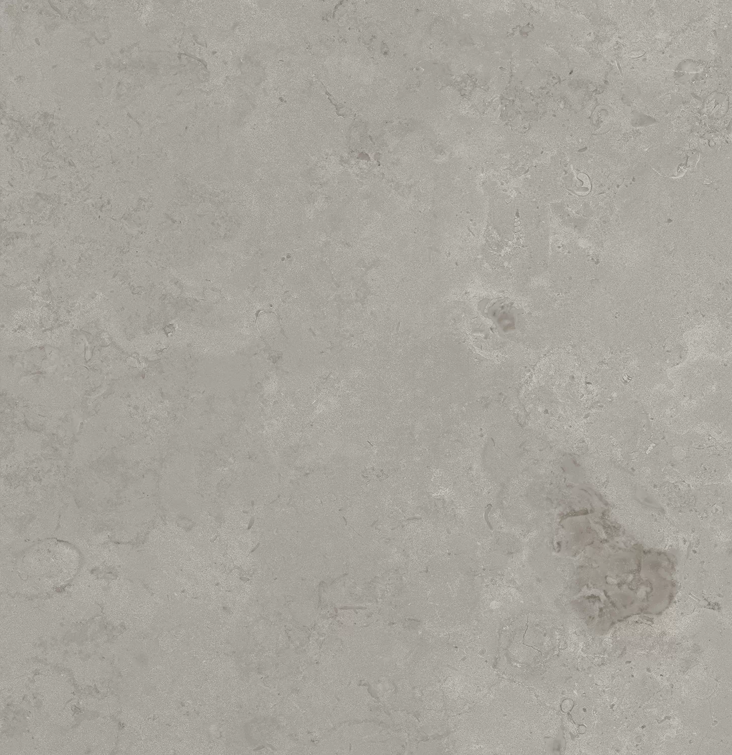 Керамогранит DD640900R Про Лаймстоун серый натуральный обрезной R10 60х60