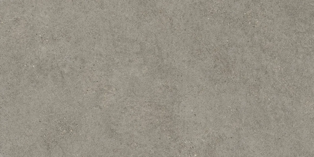 Керамогранит 610010005821 Forte dei Marmi Rock Lunar Grey Matt Rett 60x120