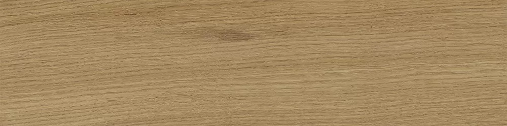 Керамогранит Tregui Natural 8х33