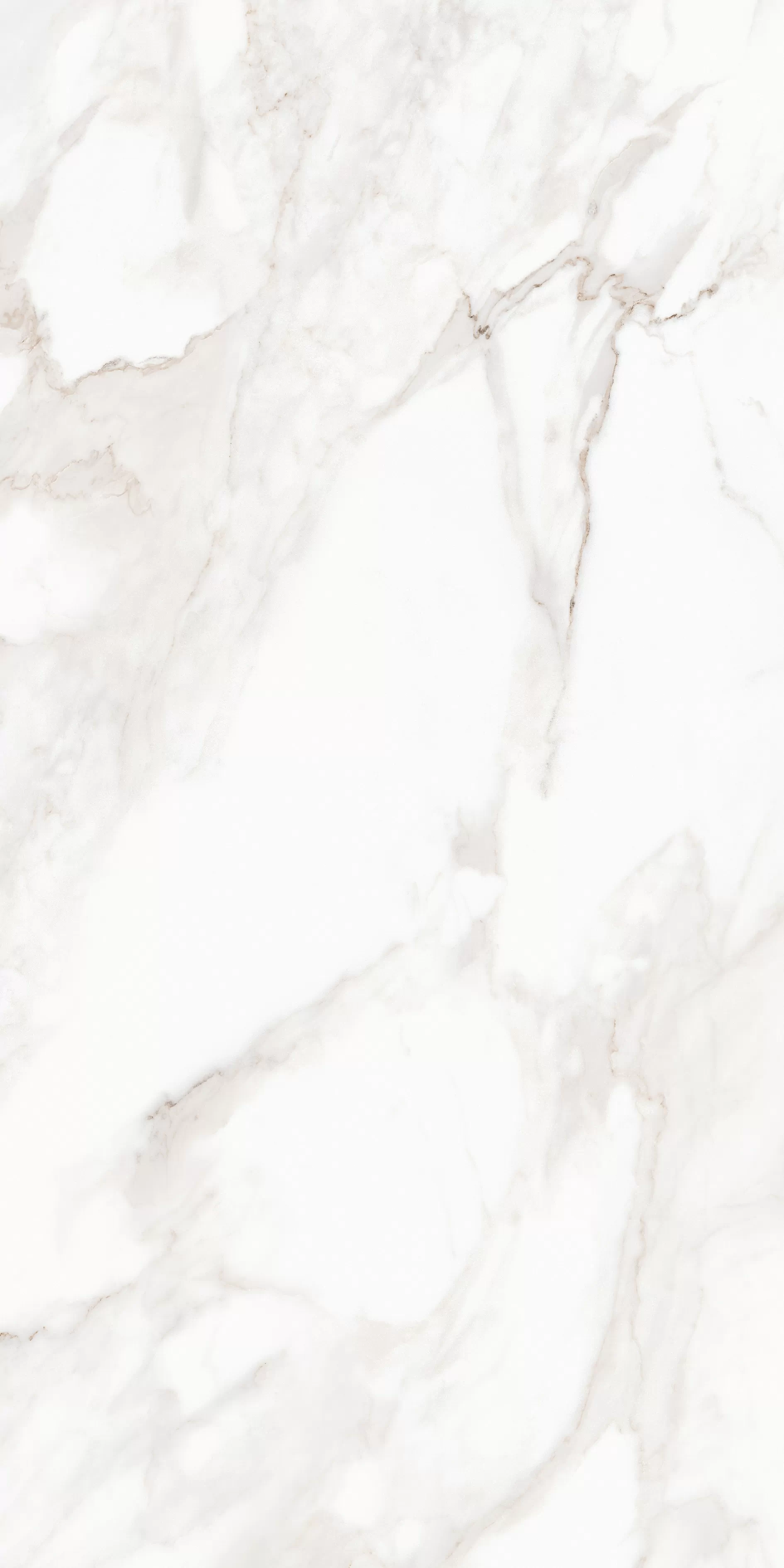 Керамогранит MPL-058632 Calacatta Satin 80x160