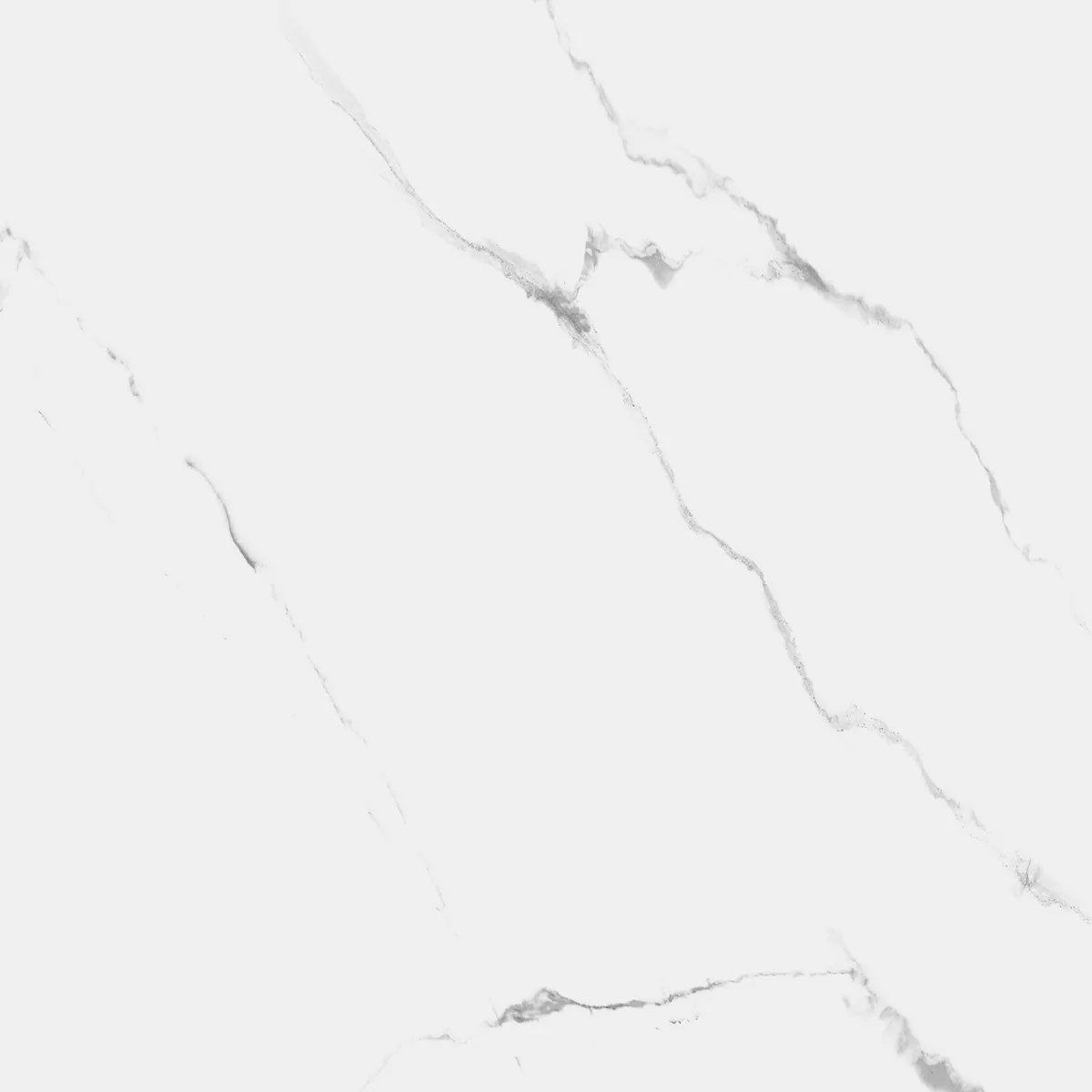 Керамогранит R_NR1002 Carrara Marmo Matt 60x60