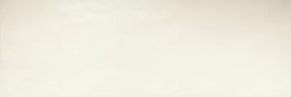 Плитка White Ret. 30x90