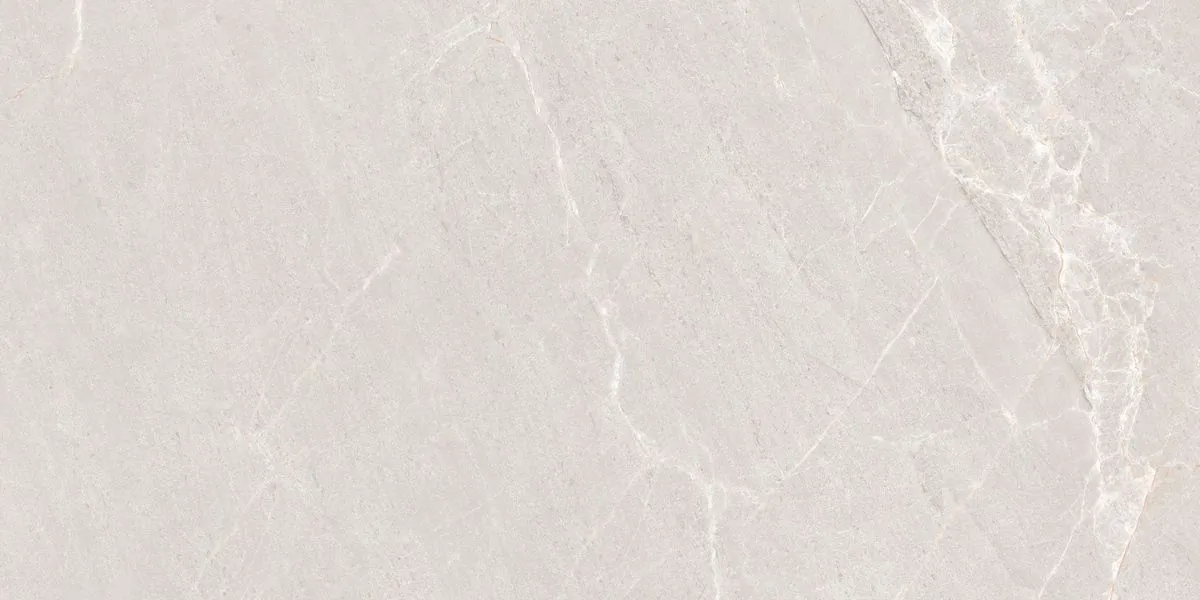 Керамогранит N20552 Persian Grey Matt 60x120