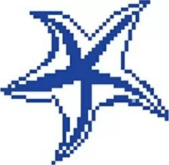 Мозаика SD-118 Porcelain Mosaic Design Starfish 2 5x5 (240x240)