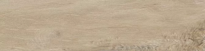 Керамогранит Leccio Gentile 10x40