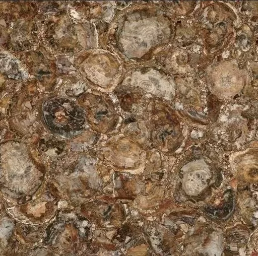 Керамогранит MC-SP09 Petrified Wood (Round) (Compound With Granit) 100x100