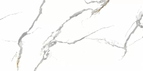 Керамогранит Lioz Statuario Polished 60x120
