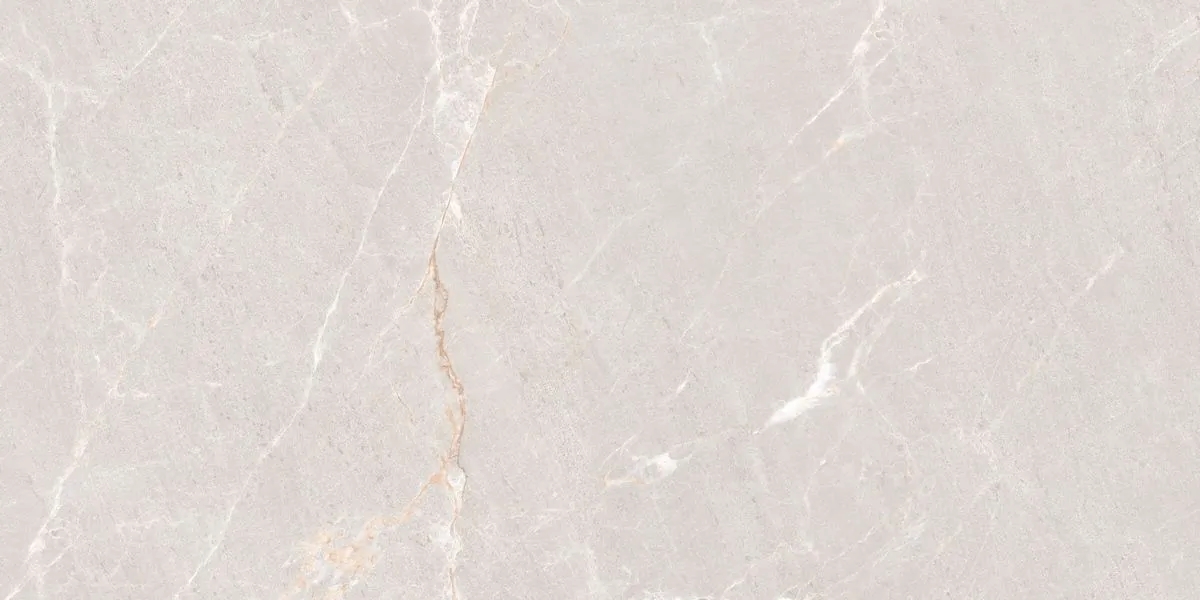 Керамогранит N20552 Persian Grey Matt 60x120