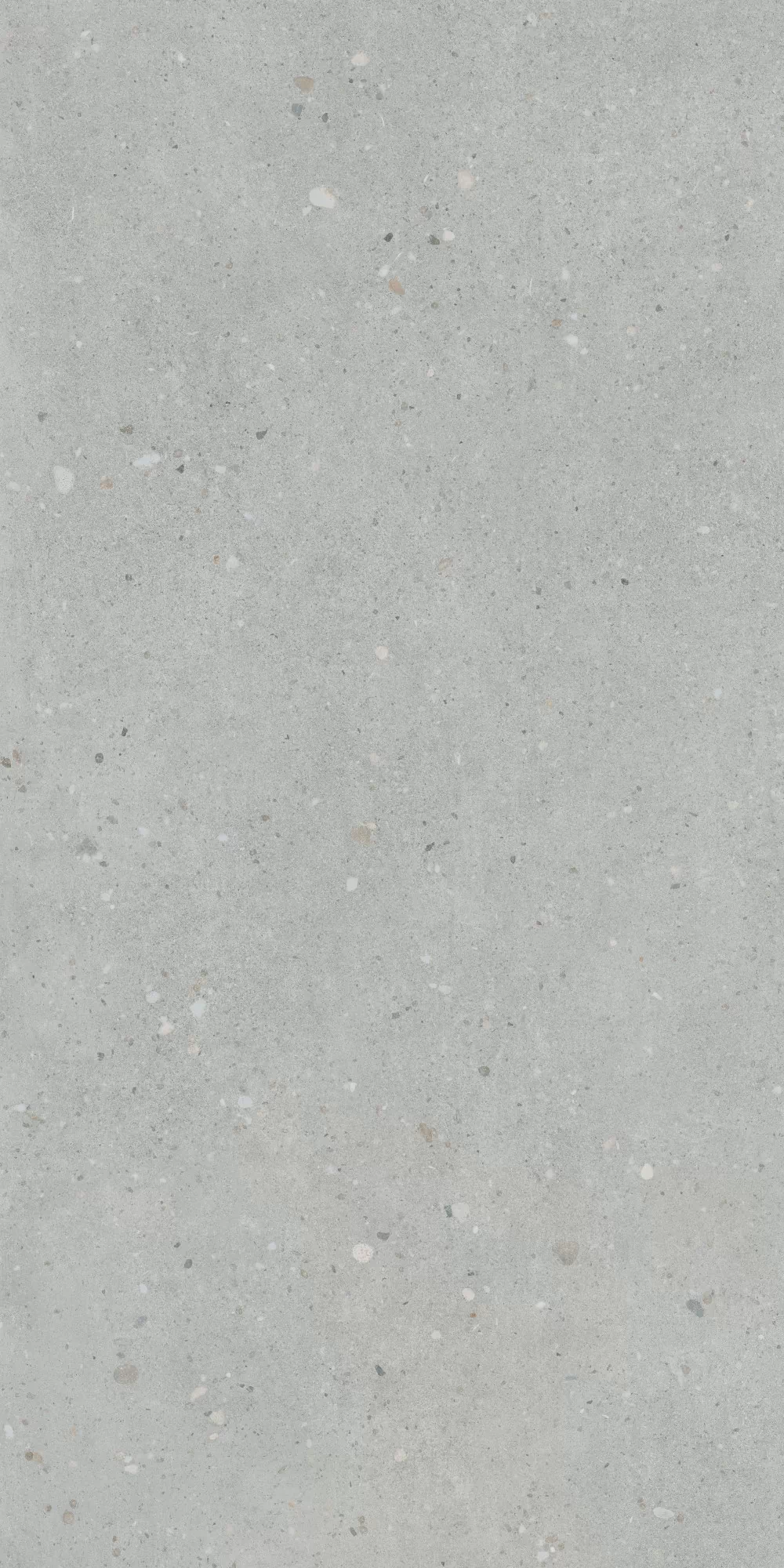 Керамогранит K947893R0001VTER Серый Матовый R10A Ректификат 60x120