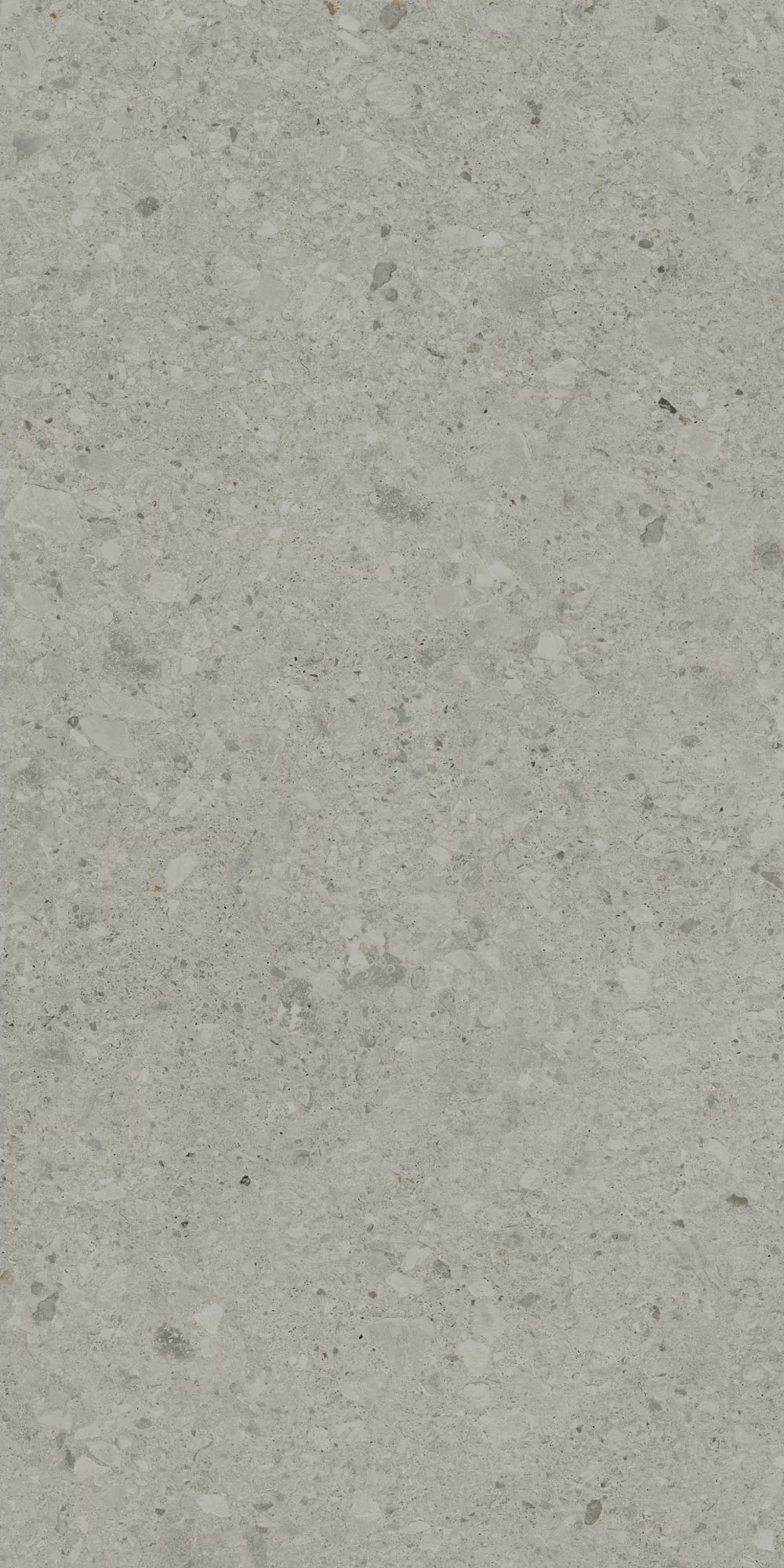 Керамогранит DD591400R Чеппо ди Гре серый матовый обрезной 119,5x238,5x1,1