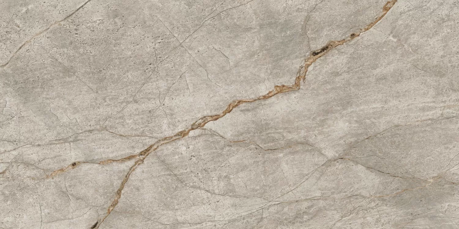 Керамогранит 610010002187 Empire Silver Root 60x120