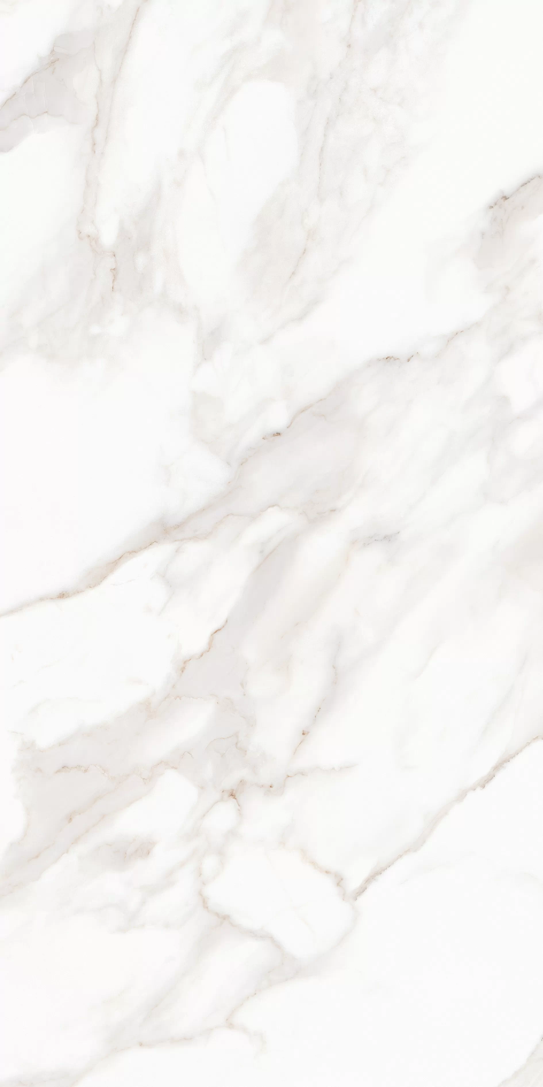 Керамогранит MPL-058633 Calacatta Polished 80x160