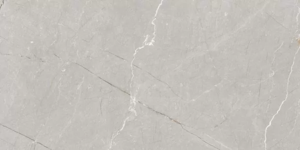 Керамогранит Larice Grey 60x120