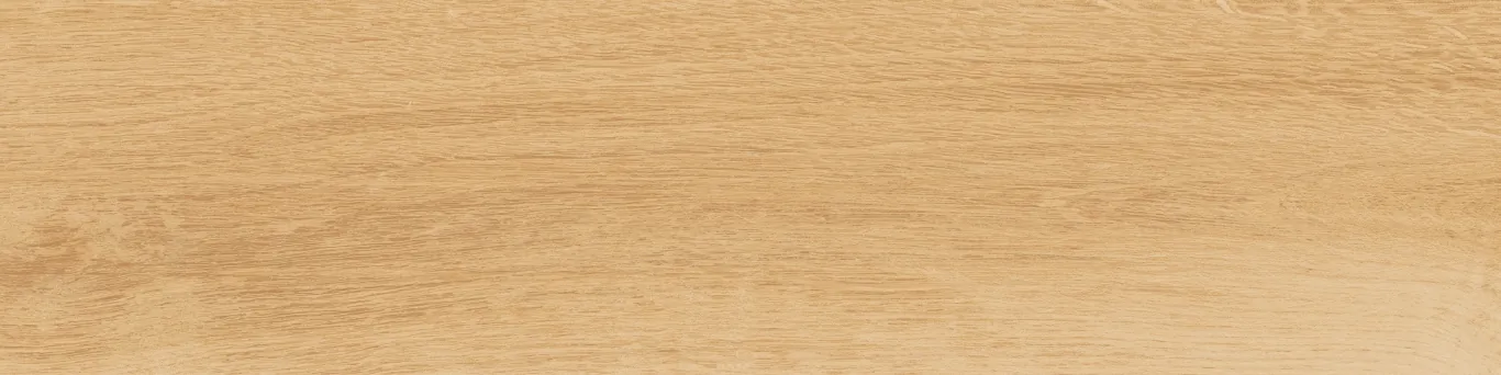 Керамогранит KM1040G0011N Аргания бежевый матовый 9,9x40,2x0,8