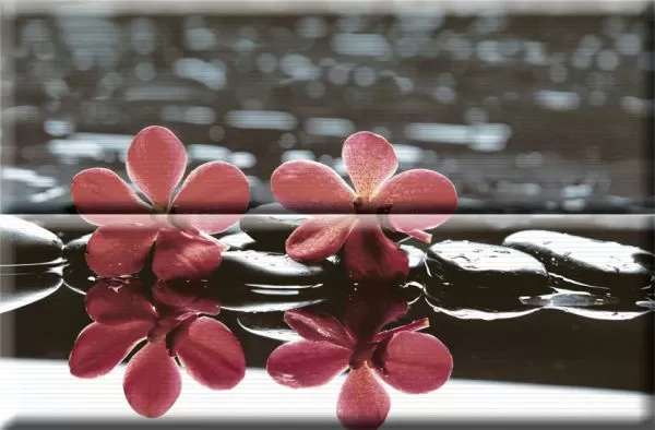 Плитка Composicion Wellness 02 Red 30x45 (комплект 2шт)