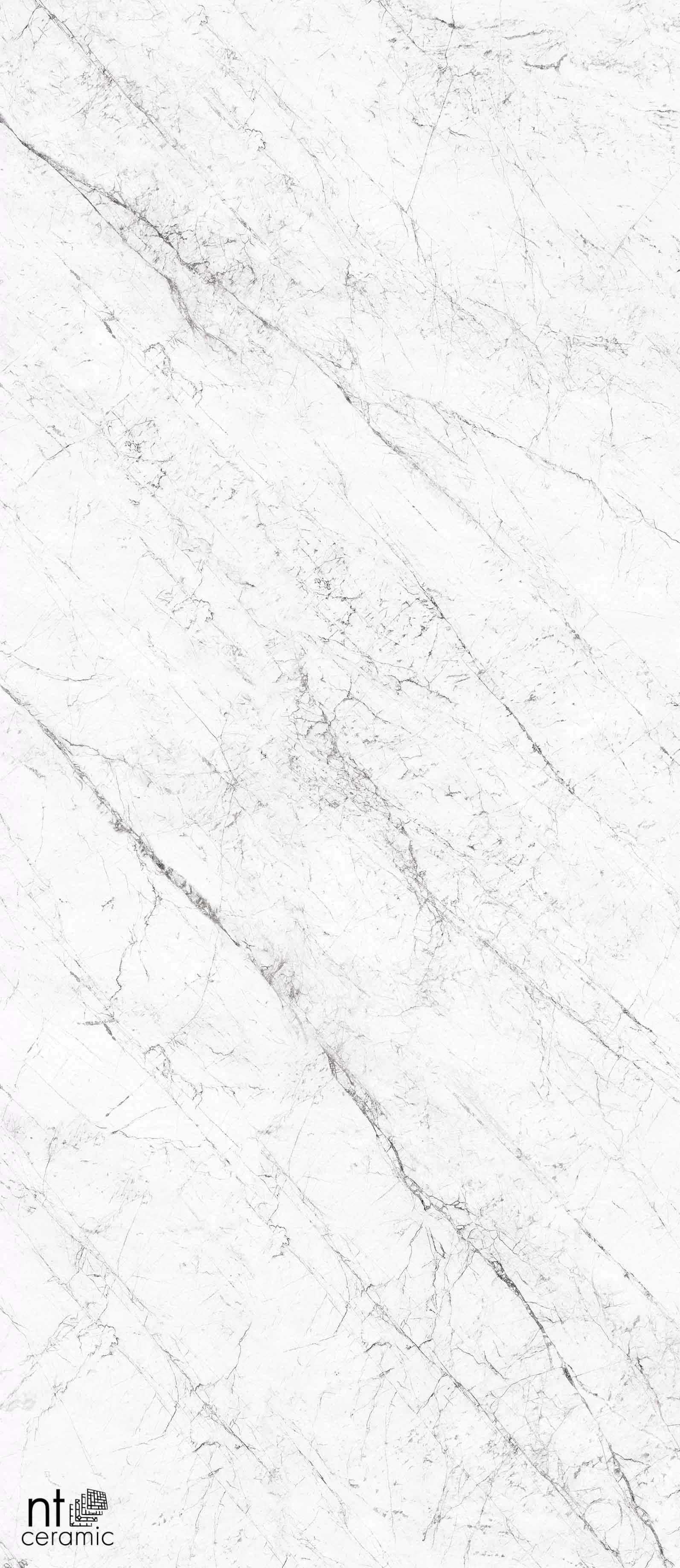 Керамогранит NTT3602C Carrara Elite 120x280