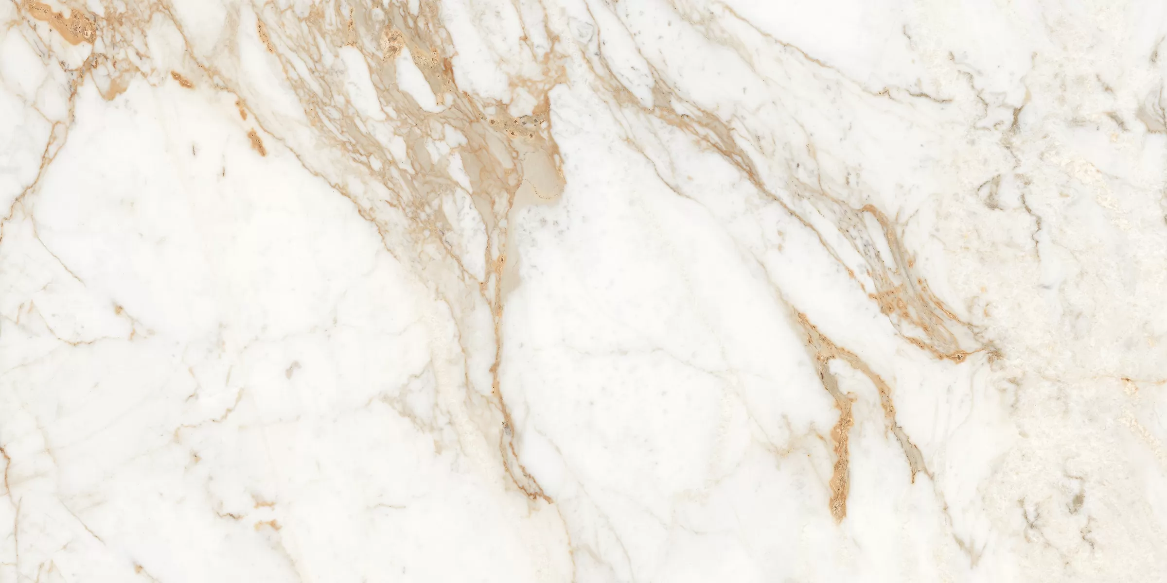 Керамогранит Calacatta Oro полированный 60x120
