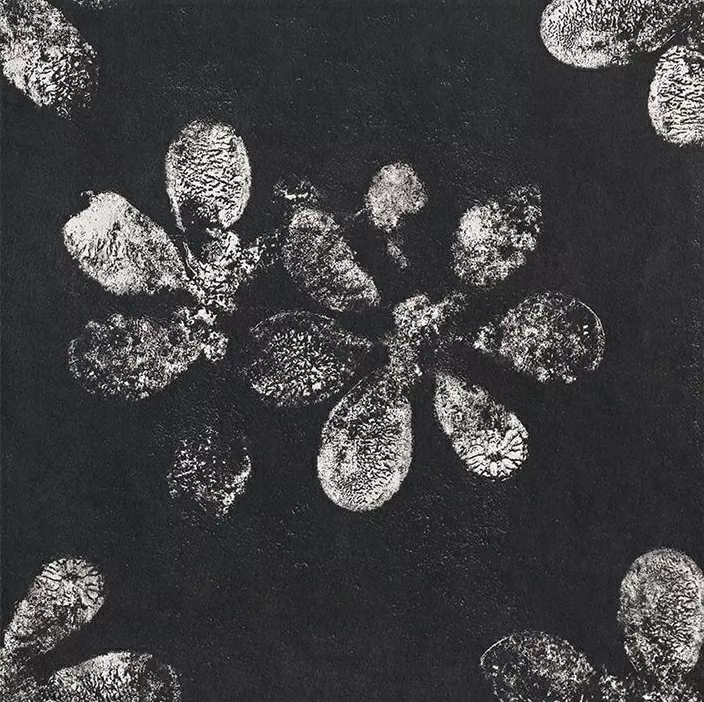 Керамогранит GAC25 Chymia Ophelia Black 30x30