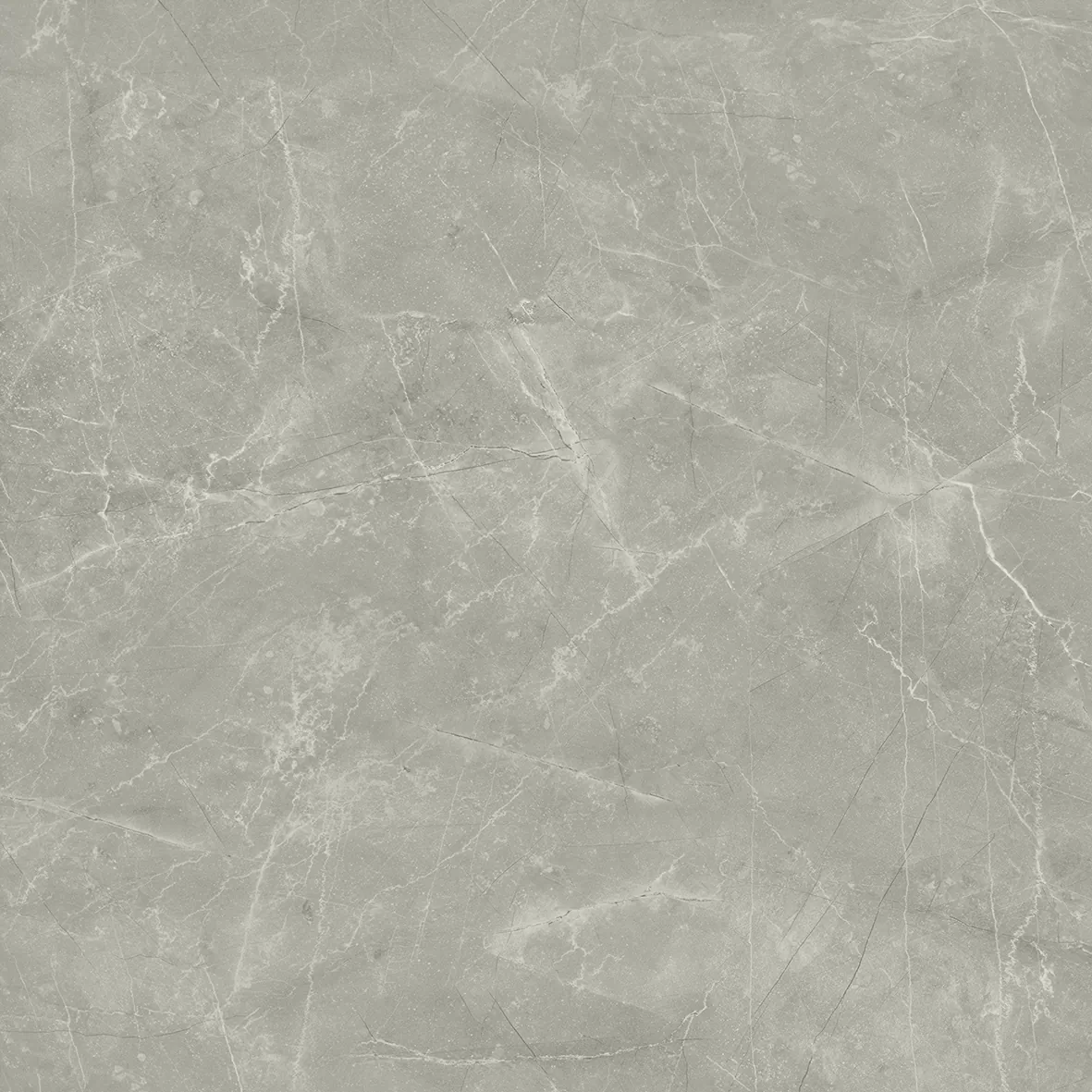 Керамогранит Wolf Grey 80х80