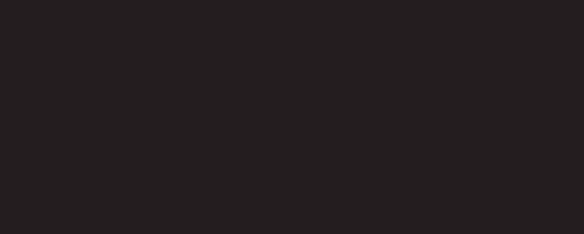 Плитка Negro Mate 20x50