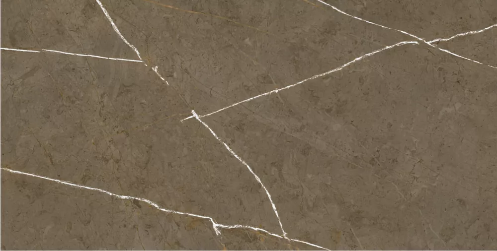 Керамогранит BHM-5009 Stone Brown 3D ink-soft glaze 60x120