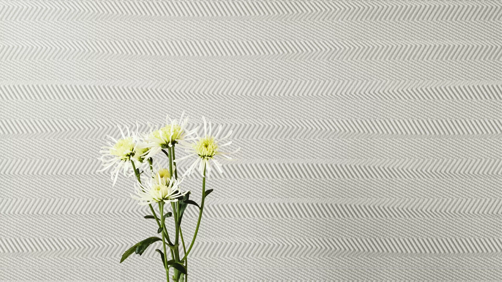 Плитка Sense R90 Sky White 30х90