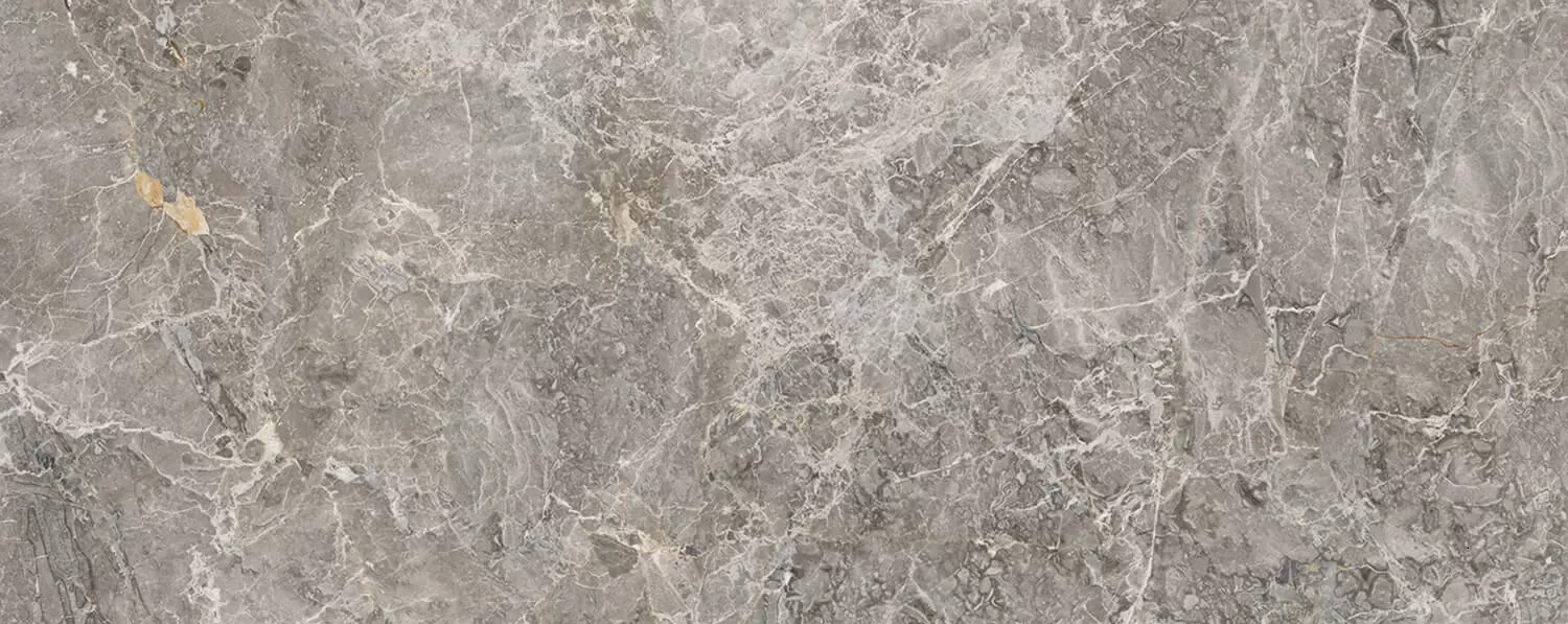 Плитка 100303462 Elegant Grey 59.6x150