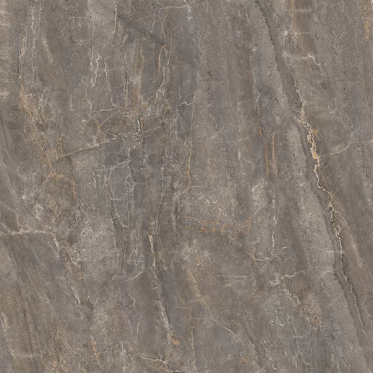 Керамогранит SG842002R Парнас пепельный лаппатированный обрезной 80*80