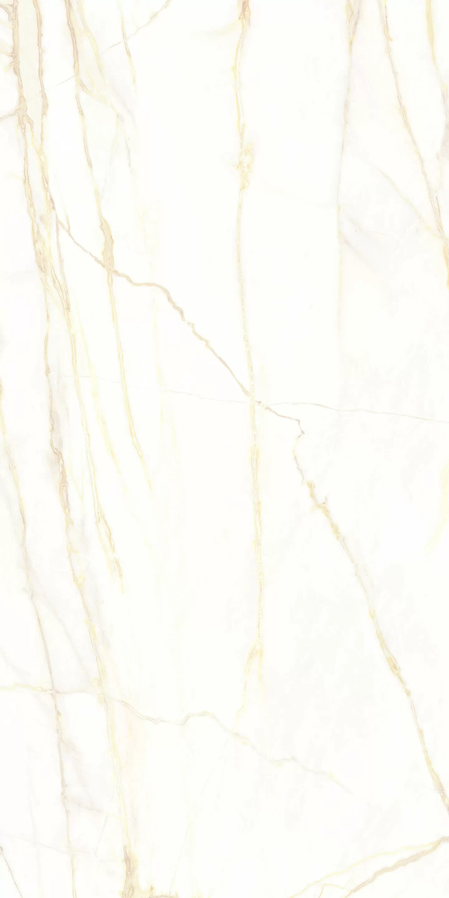 Керамогранит 769423 Chimera Empatia Bianco Mat Ret 6mm 120x240