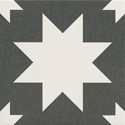 Керамогранит Fired Star Black Mate 20x20