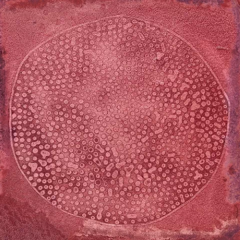 Плитка Carlo Granate-B 20x20