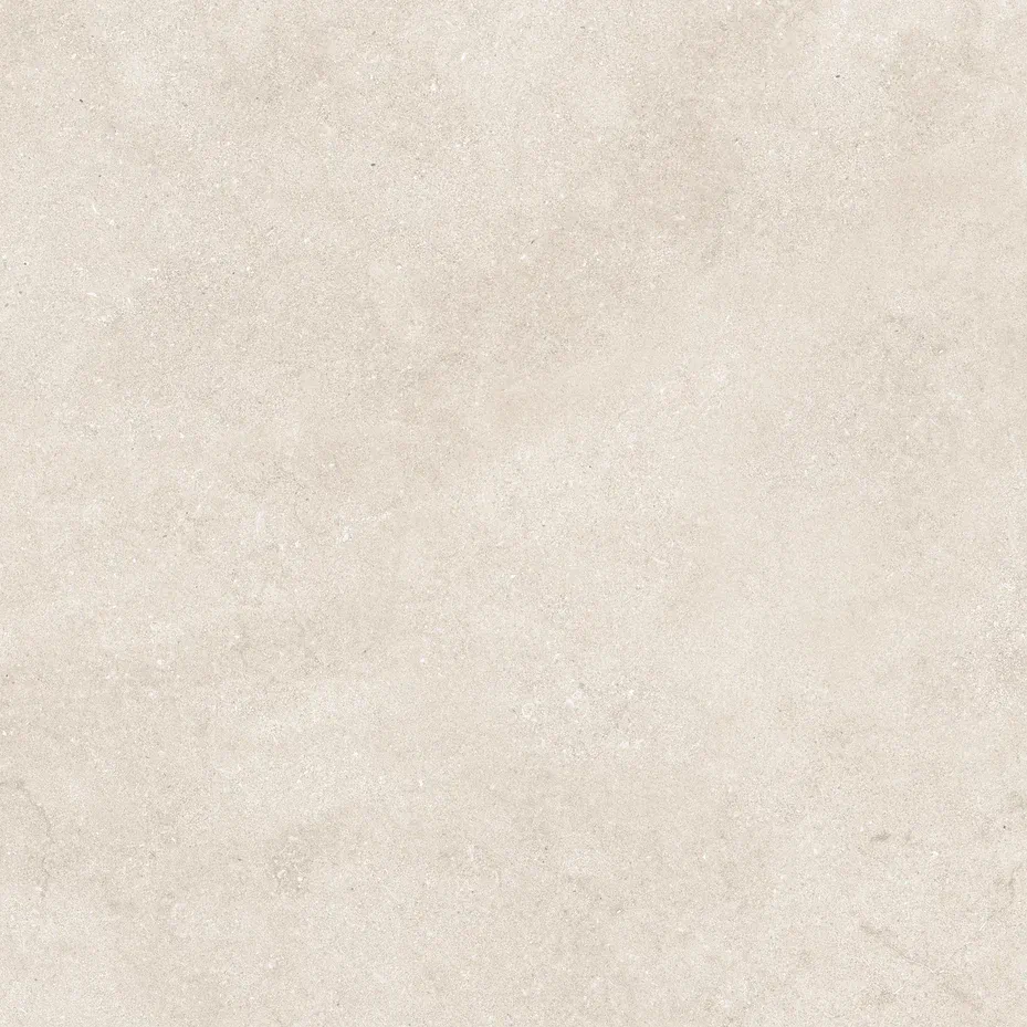 Керамогранит N12051 Eden Light Matt 120x120