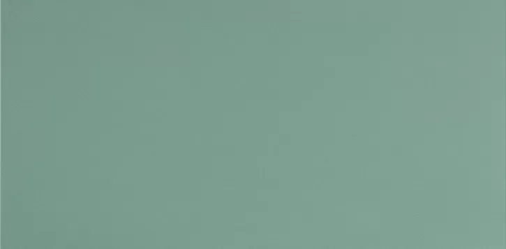 Керамогранит UF029 (мурена моноколор) матовый ректифицированный 120х60