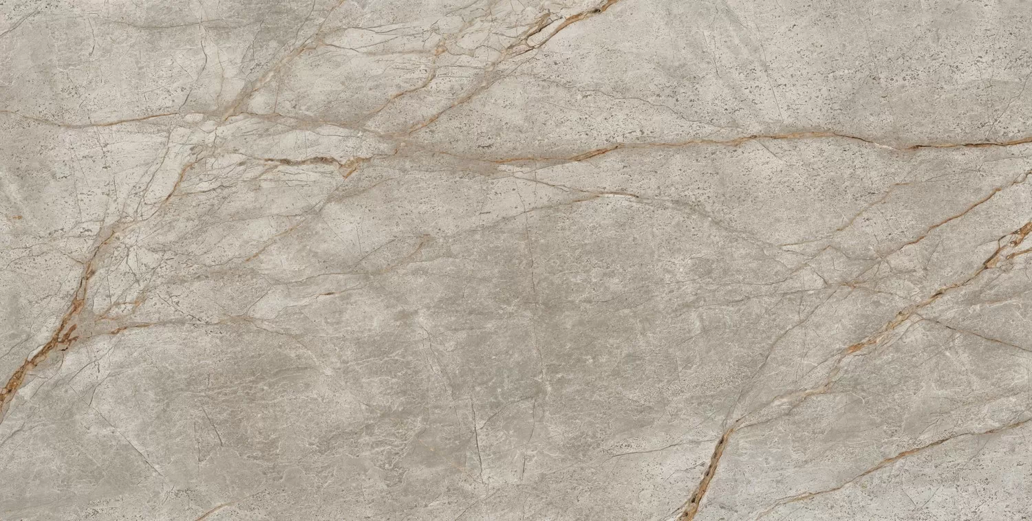 Керамогранит 610015000603 Empire Silver Root Lapp 80x160