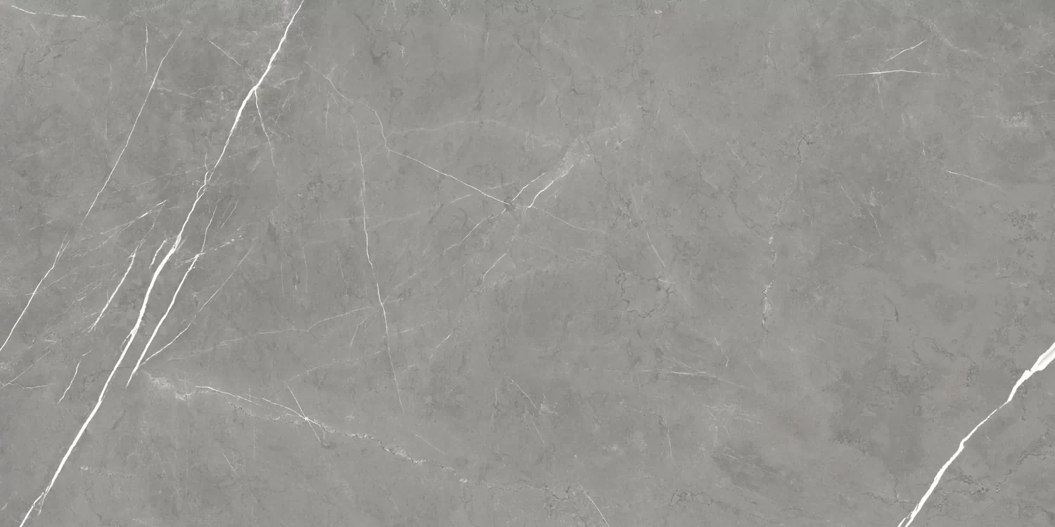 Керамогранит 610015000657 Forte dei Marmi Elegant Grey Rett Cer 60x120