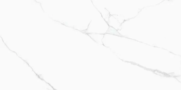 Керамогранит CRV-3141 carving 60х120