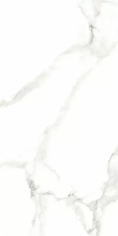 Керамогранит Statuario Silk Glossy 60х120