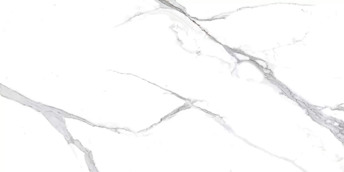 Керамогранит Calacatta Splendid Silver Белый Матовый 60х120