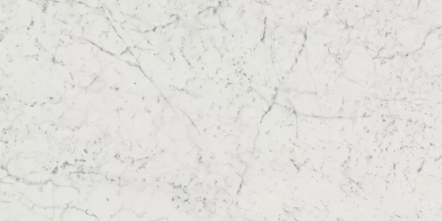 Керамогранит 610010001194 Charme Extra Carrara Nat Ret 60x120