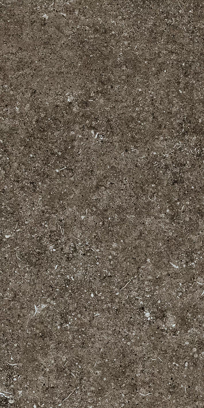Керамогранит 768354 Sensi Brown Fossil R+PTV Ret 40x80